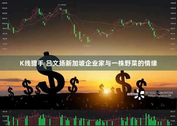 K线猎手 吕文扬新加坡企业家与一株野菜的情缘