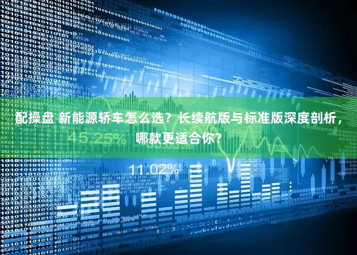 配操盘 新能源轿车怎么选？长续航版与标准版深度剖析，哪款更适合你？