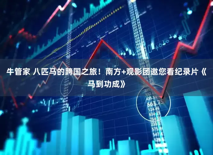 牛管家 八匹马的跨国之旅！南方+观影团邀您看纪录片《马到功成》